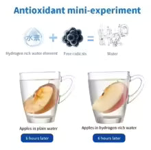 Naturecuremart Hydrogen Water Bottle